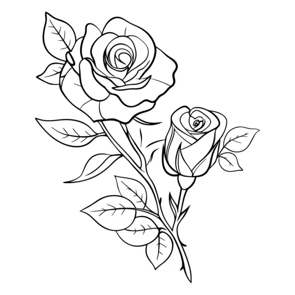 Yaprakları narin çiçek desenli iki gülün zarif çizimi.