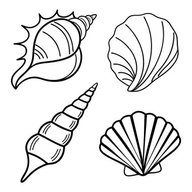 Beyaz arka planda dört el çizilmiş deniz kabuğu çizimleri koleksiyonu