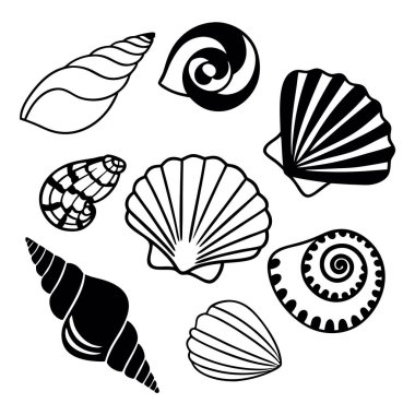 Çeşitli el yapımı siyah beyaz deniz kabuğu çizimleri koleksiyonu
