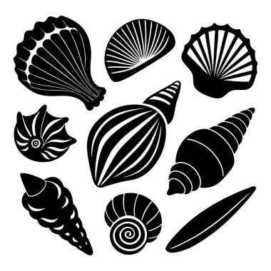 Dairesel bir düzende çeşitli siyah beyaz deniz kabuğu çizimleri koleksiyonu