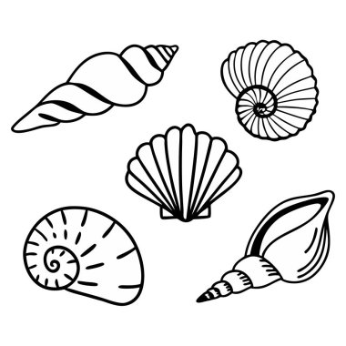 Beyaz arka planda siyah beyaz deniz kabuğu çizilmiş beş eşsiz el koleksiyonu