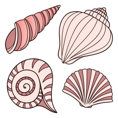 Basit bir el çizimi tarzında dört farklı deniz kabuğu çizimi koleksiyonu