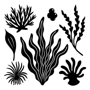 Beyaz arkaplanda siyah siluet deniz yosunu ve mercan çizimleri koleksiyonu