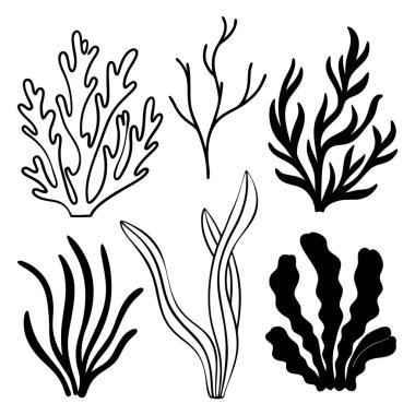 Collection of hand drawn black and white illustrations of various seaweeds and coral shapes