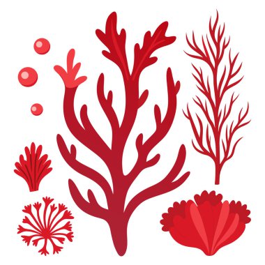 Derin okyanus tabanından güzel canlı kırmızı mercan ve deniz yosunu koleksiyonu