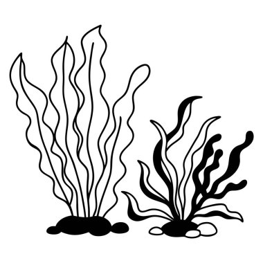 İki farklı su altı su altı yosunu bitkisinin yer aldığı basit siyah-beyaz çizgili resim çizimi