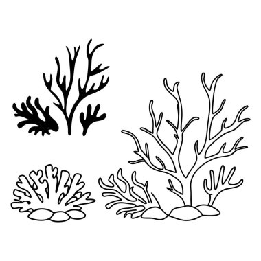 Deniz mercan hatları ve siluetleri, iki tarzda deniz resifi bitkileri, siyah ve beyaz vektör çizimi