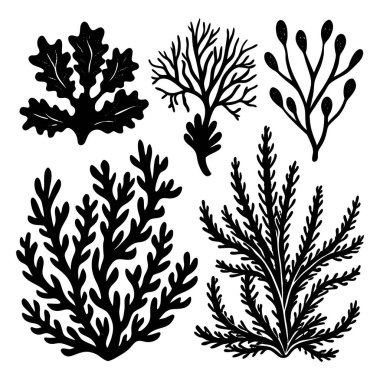 Siyah yosun siluetleri ve deniz bitkileri seti, su altı yosunları ve mercan yapraklarının vektör çizimi