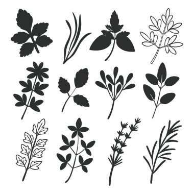 Mutfak ve botanik tasarımı için siyah ve beyaz bitki siluetleri koleksiyonu