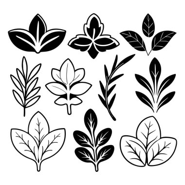 Doğadan esinlenilmiş tasarımlar için siyah ve beyaz botanik yaprak ve dal koleksiyonu