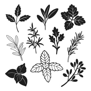 Mutfağınızı zenginleştirmek için gerekli olan çeşitli otlar ve baharatlar.