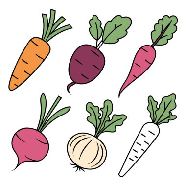 Havuç, pancar ve turplu kök sebze koleksiyonu. Renkli el, sağlıklı besin vektörü çizimi.