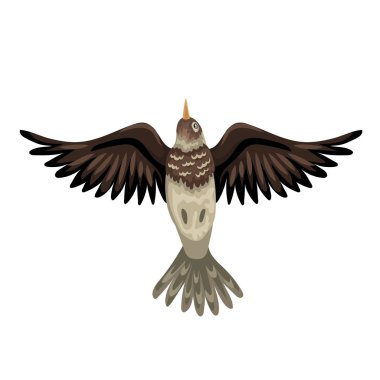 Crested larks - bird in flight, wings open, bottom view. Vector isolared animal. clipart