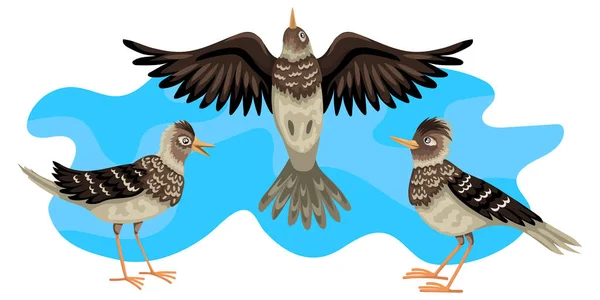 A pacsirták vonuló madarai. Három madár repül az ég hátterében. A vadon élő állatok kórokozó-átvivő ábrázolása — Stock Vector