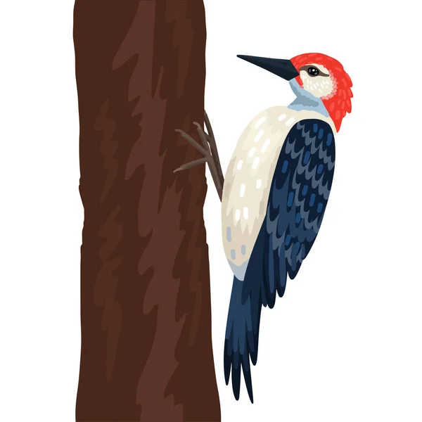 Τρυποκάρυδος, πουλί σε δέντρο, κόκκινο κεφάλι, ασπρόμαυρη θέρμανση. Δάσος άγριο πουλί. Διανυσματικό αντικείμενο σε λευκό φόντο. — Διανυσματικό Αρχείο