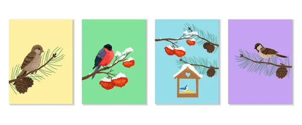 Set of vertical cards with wintering birds. Sparrows, bullfinch and nuthatch on tree branches. Vector print designs, baby animal illustrations. — Stock Vector