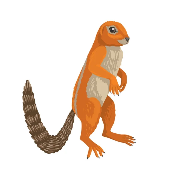 Xerus inauris, молотая белка, африканское животное. Симпатичные детские иллюстрации, рыжий зверь. Векторный символ на белом фоне, изолированный объект. — стоковый вектор