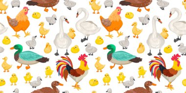 Ev kuşları, kusursuz desen. Horoz ve tavuklar, kuğular ve ördekler beyaz arka planda yürürler. Tekstil modeli için çocukça bir tasarım. Vektör illüstrasyonu