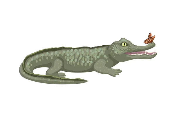 Крокодил, дикое тропическое животное африканского происхождения, милая иллюстрация, смешной хищник. Вектор изолирован на белом фоне — стоковый вектор