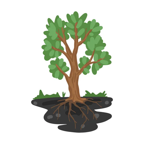 Träd med rötter i marken. Avgränsad mark. Trädtillväxt illustration. Vektor platt tecknad teckning — Stock vektor