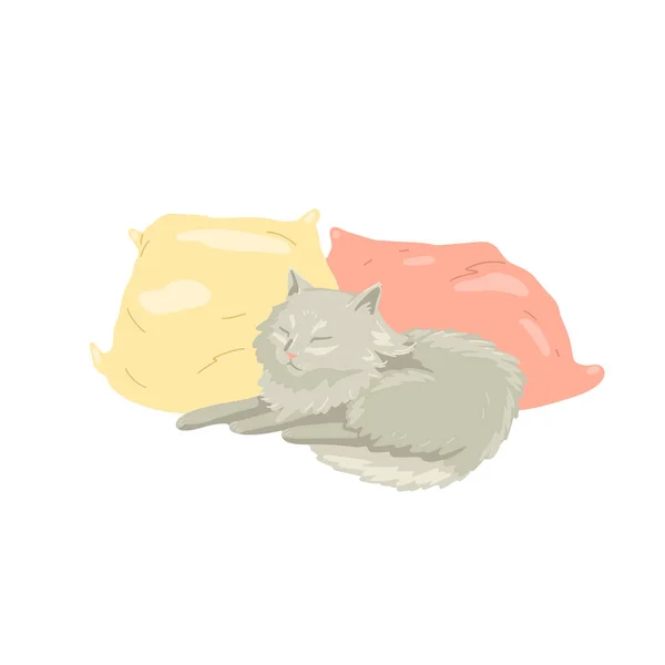 Gato gris esponjoso durmiendo en almohadas, durmiendo mascota. Dibujo plano vectorial de carácter animal. Aislado sobre fondo blanco — Vector de stock
