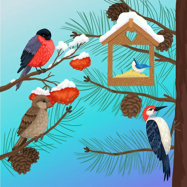 Bos vogels, overwinterende mussen, bullfinch, specht, naaktslak op takken van bomen. Houten voerbak. Vector illustratie van de dierenwereld in de winter. — Stockvector