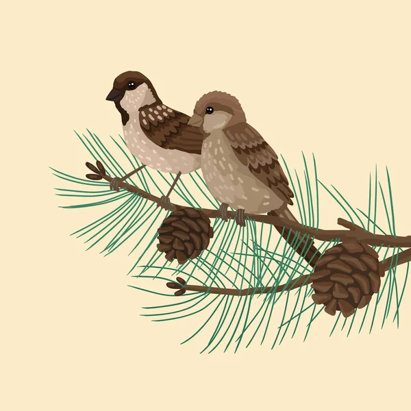 Verebek, tollas madarak, reggeliző fenyőfán ül. Vektor rajz rajzfilm illusztráció fehér háttér. — Stock Vector