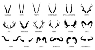 Hayvan boynuzu siluet vektörü ayarlandı