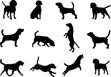 Beagle Dog Siluet Seti