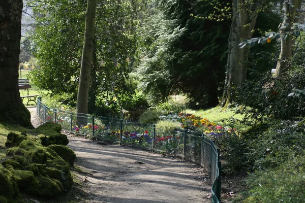 Alle du Jardin des plantes