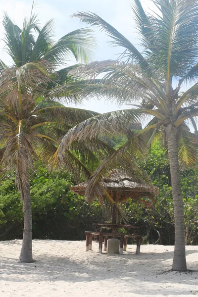 Plage des iles grenadines — Stock Photo, Image