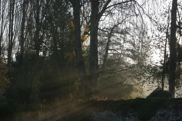 Campagne tr hiver