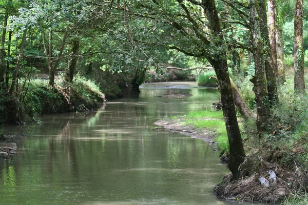 riviere dans la campagne