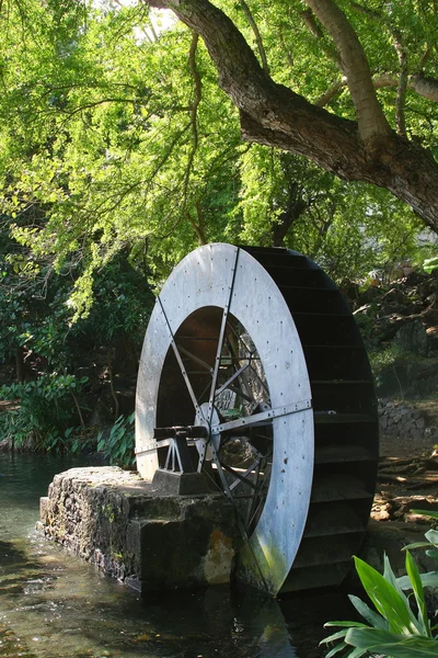 Ancienne roue de moulin