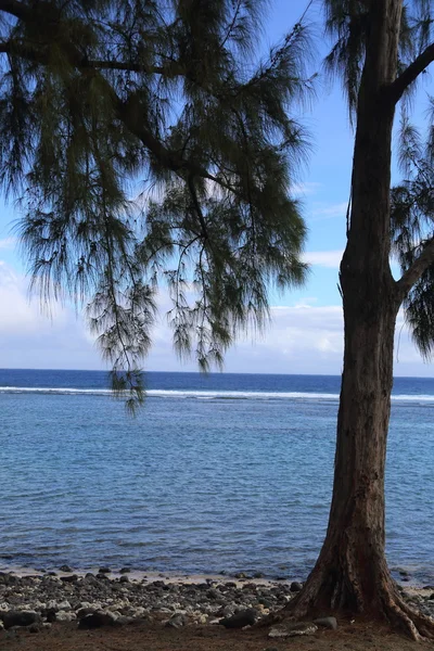 Plage ile de la reunion — Stock Photo, Image