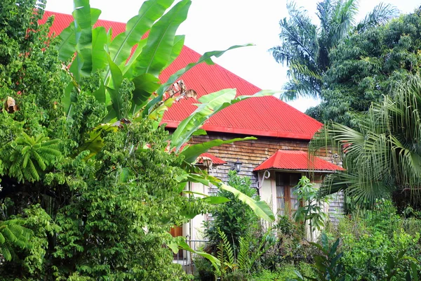 maison creole ile reunion