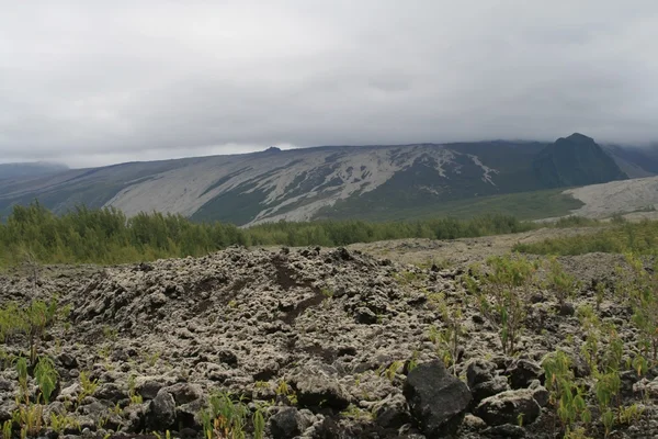 Vulkan auf La Réunion Insel — Stockfoto