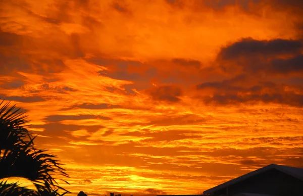 kanepe de soleil