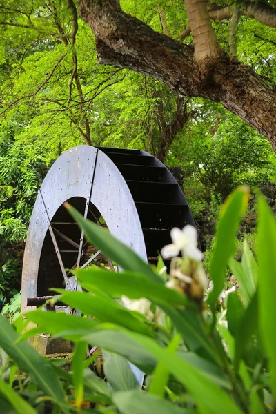 roue ancien moulin