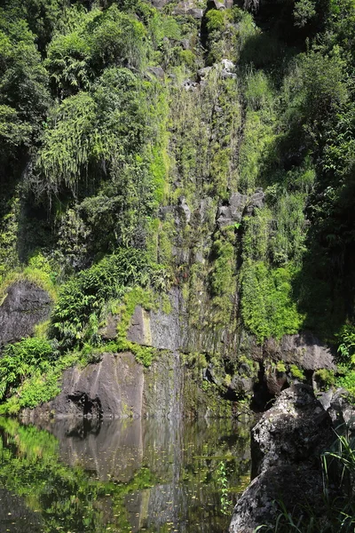 Bassina cascata ile riunione — Foto Stock