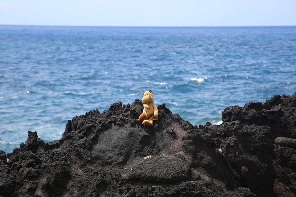 Peluche sur un rocher