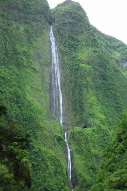 Art arda sıralı Ile reunion