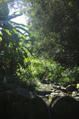 Bassin Cascade ile yeniden bir araya gelme