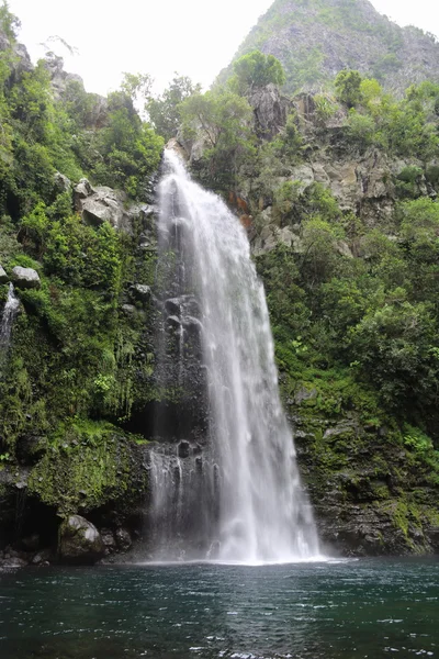 Cascade ile Ρεουνιόν — Φωτογραφία Αρχείου