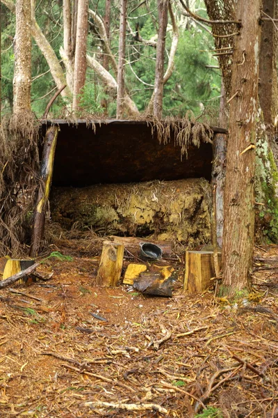Kabane dans les bois