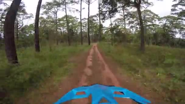 Motocykl jízda v lese — Stock video