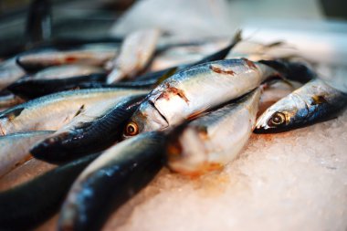 taze balık s buzda depolamak