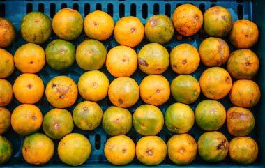  turuncu bir kova mağazasında