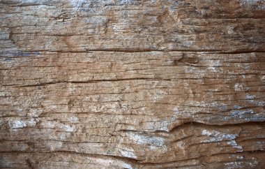 Eski kahverengi ahşap doku arkaplanı