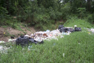çöplüğü orman yeşil çimlere arasında